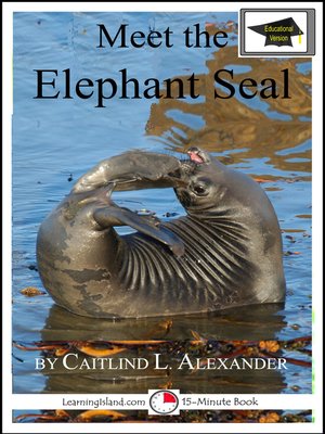 cover image of Meet the Elephant Seal